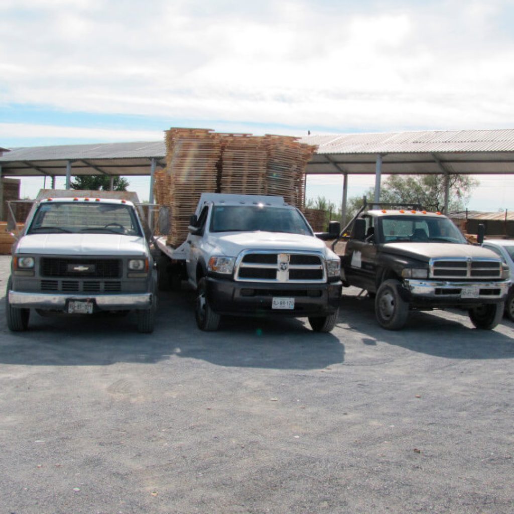 madera para construcción Monterrey